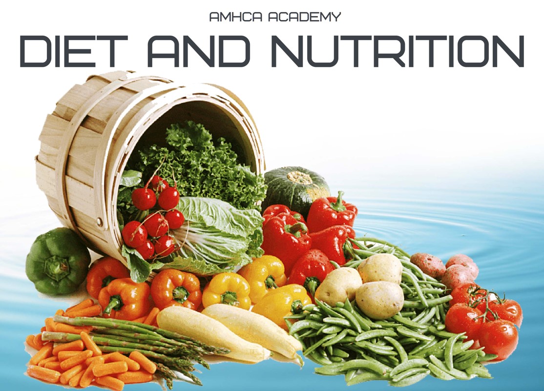 Diet and Nutrition