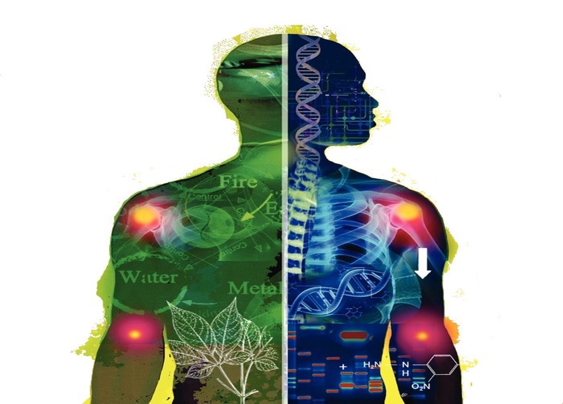 Diagnosis in Chinese Medicine